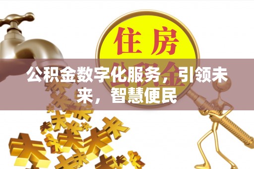埔里公积金数字化服务，引领未来，智慧便民