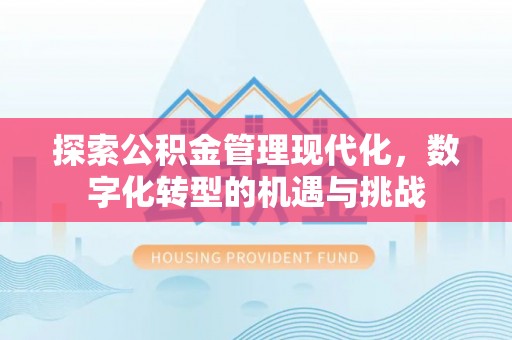 埔里探索公积金管理现代化，数字化转型的机遇与挑战