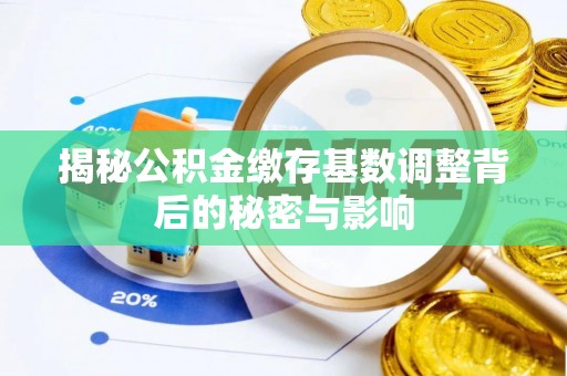 埔里揭秘公积金缴存基数调整背后的秘密与影响