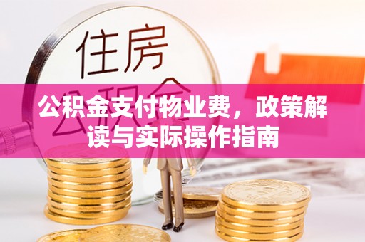 埔里公积金支付物业费，政策解读与实际操作指南