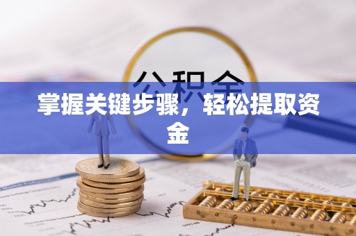 埔里掌握关键步骤，轻松提取资金