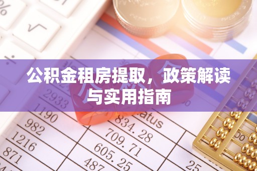 埔里公积金租房提取，政策解读与实用指南