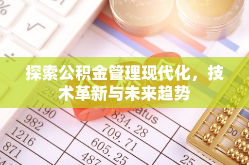 埔里探索公积金管理现代化，技术革新与未来趋势