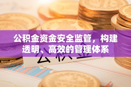 埔里公积金资金安全监管，构建透明、高效的管理体系