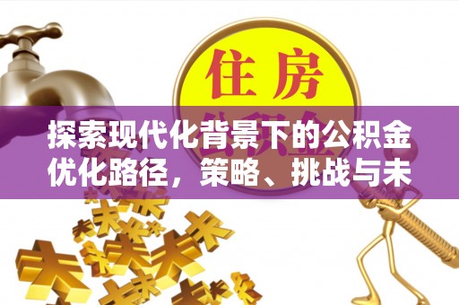 埔里探索现代化背景下的公积金优化路径，策略、挑战与未来展望