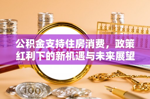 埔里公积金支持住房消费，政策红利下的新机遇与未来展望