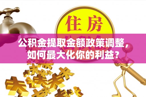 埔里公积金提取金额政策调整，如何最大化你的利益？