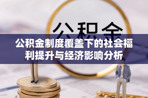 埔里公积金制度覆盖下的社会福利提升与经济影响分析