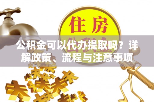 埔里公积金可以代办提取吗？详解政策、流程与注意事项
