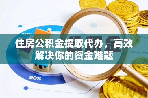 埔里住房公积金提取代办，高效解决你的资金难题