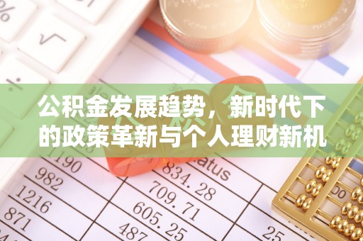 埔里公积金发展趋势，新时代下的政策革新与个人理财新机遇