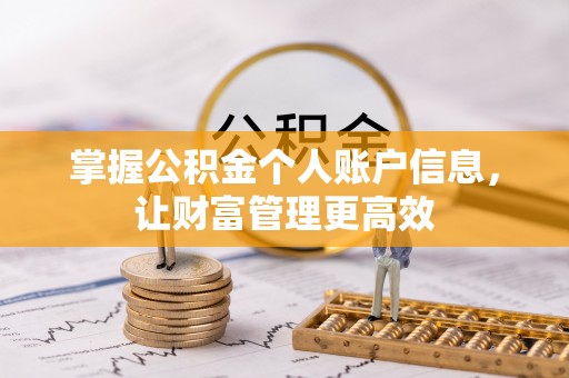 埔里掌握公积金个人账户信息，让财富管理更高效