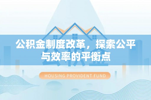 埔里公积金制度改革，探索公平与效率的平衡点