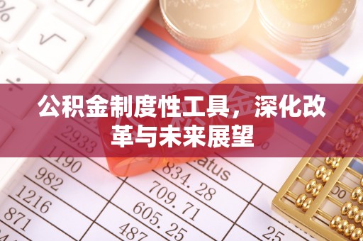 埔里公积金制度性工具，深化改革与未来展望