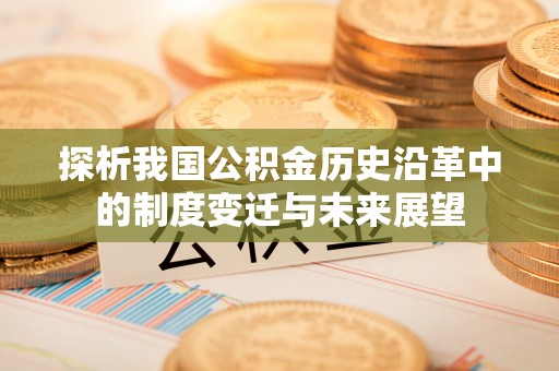 埔里探析我国公积金历史沿革中的制度变迁与未来展望