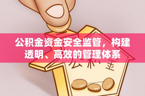 埔里公积金资金安全监管，构建透明、高效的管理体系