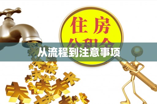 埔里从流程到注意事项