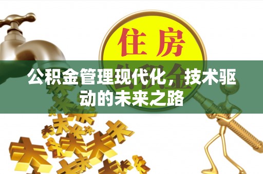 埔里公积金管理现代化，技术驱动的未来之路